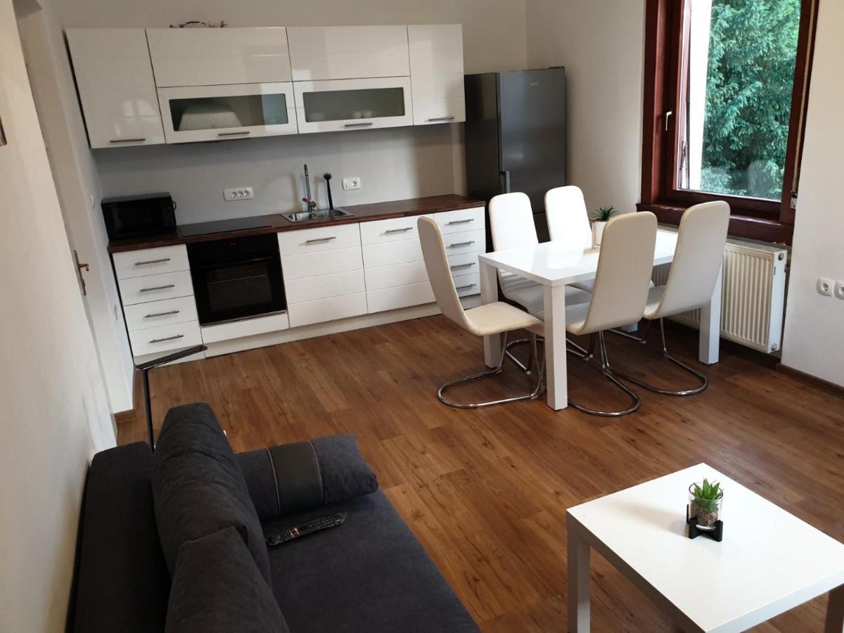לובליאנה Huge Bbq Garden 2, Spacious Flat, Ac, Free Parking 2 מראה חיצוני תמונה