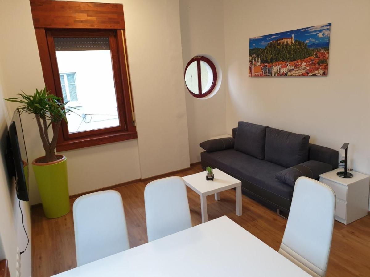 לובליאנה Huge Bbq Garden 2, Spacious Flat, Ac, Free Parking 2 מראה חיצוני תמונה