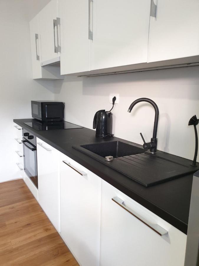 לובליאנה Huge Bbq Garden 2, Spacious Flat, Ac, Free Parking 2 מראה חיצוני תמונה