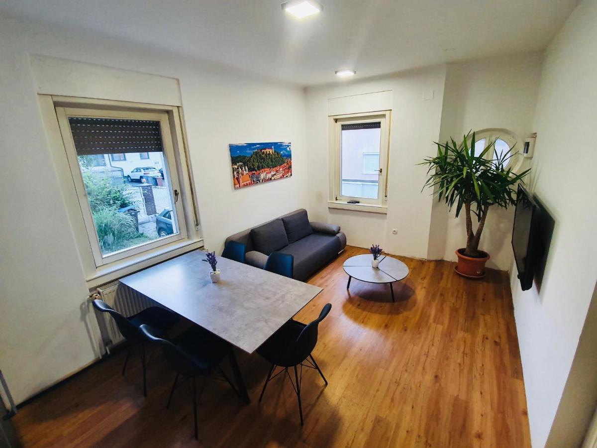 לובליאנה Huge Bbq Garden 2, Spacious Flat, Ac, Free Parking 2 מראה חיצוני תמונה