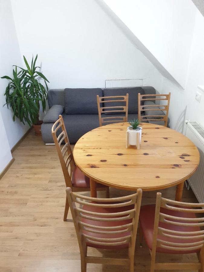 לובליאנה Huge Bbq Garden 2, Spacious Flat, Ac, Free Parking 2 מראה חיצוני תמונה