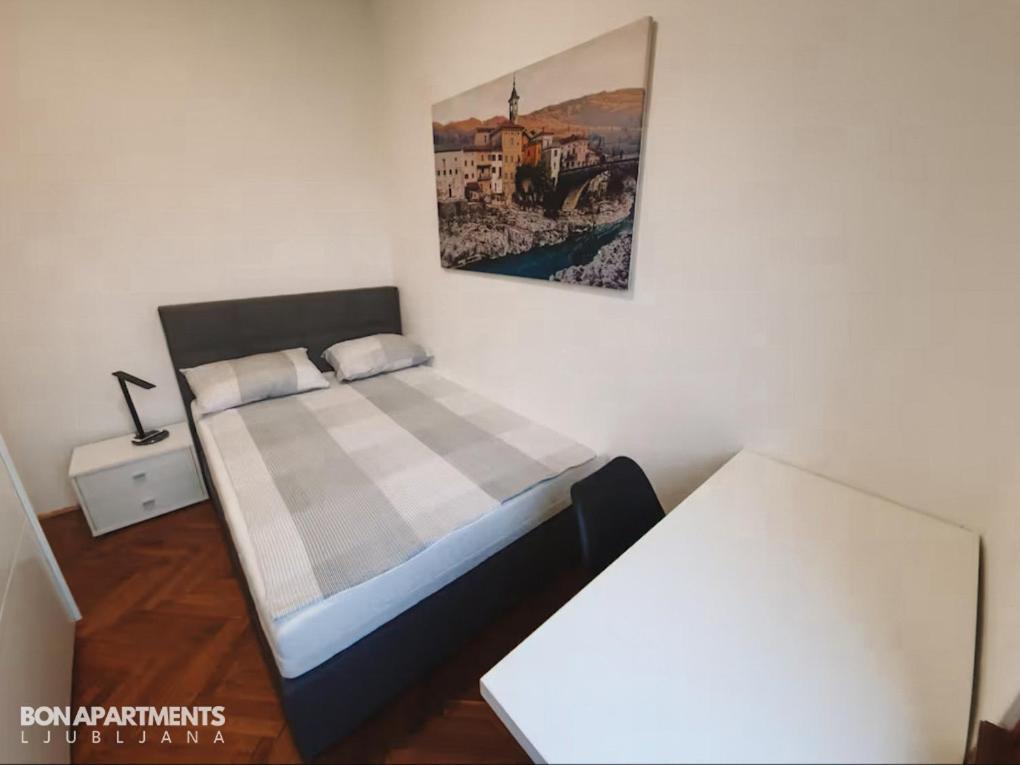 לובליאנה Huge Bbq Garden 2, Spacious Flat, Ac, Free Parking 2 מראה חיצוני תמונה