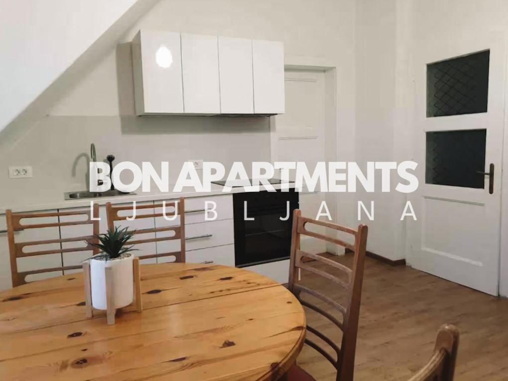 לובליאנה Huge Bbq Garden 2, Spacious Flat, Ac, Free Parking 2 מראה חיצוני תמונה