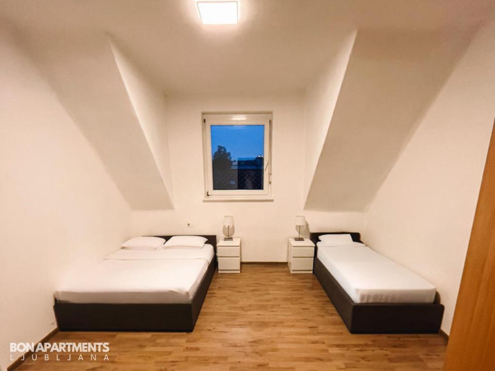 לובליאנה Huge Bbq Garden 2, Spacious Flat, Ac, Free Parking 2 מראה חיצוני תמונה