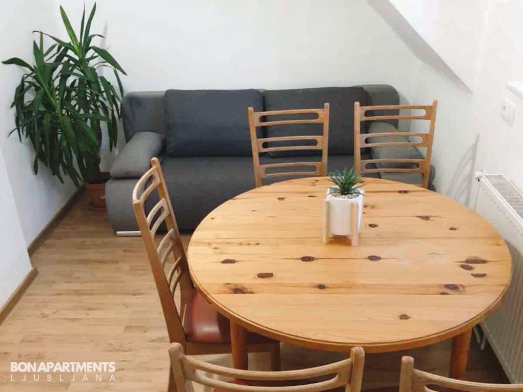 לובליאנה Huge Bbq Garden 2, Spacious Flat, Ac, Free Parking 2 מראה חיצוני תמונה