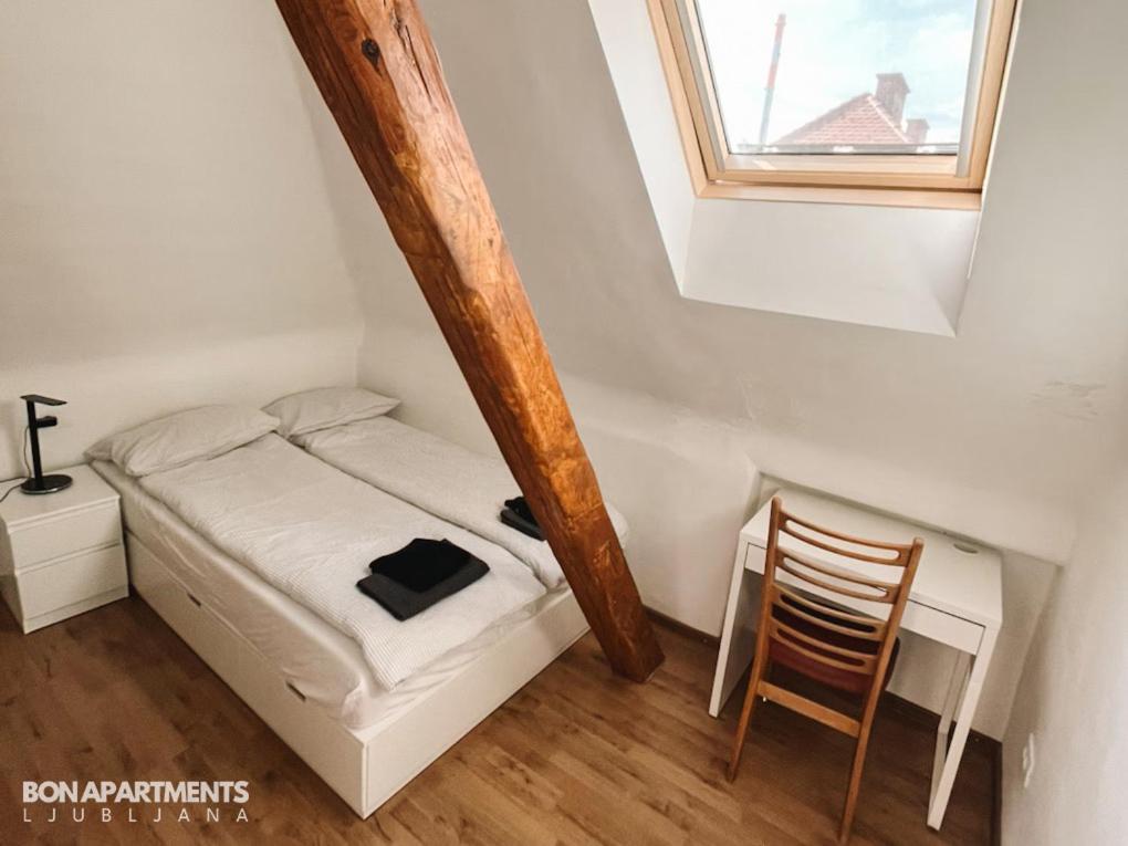 לובליאנה Huge Bbq Garden 2, Spacious Flat, Ac, Free Parking 2 מראה חיצוני תמונה